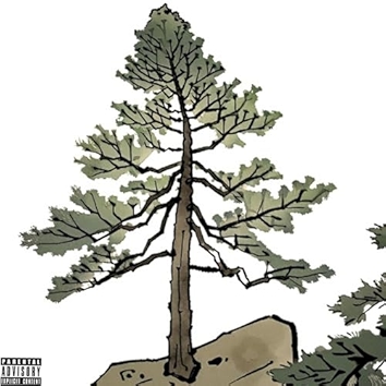 107 part I [Explicit]