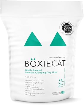Boxie Cat Litter 16 Lb Clumping Clay + Cleanup Bundle - Boxiecat Premium Clumping Clay Cat Litter - Gently Scented Formula | Boxiecat Scoop & Tie Cat Litter Waste Bags