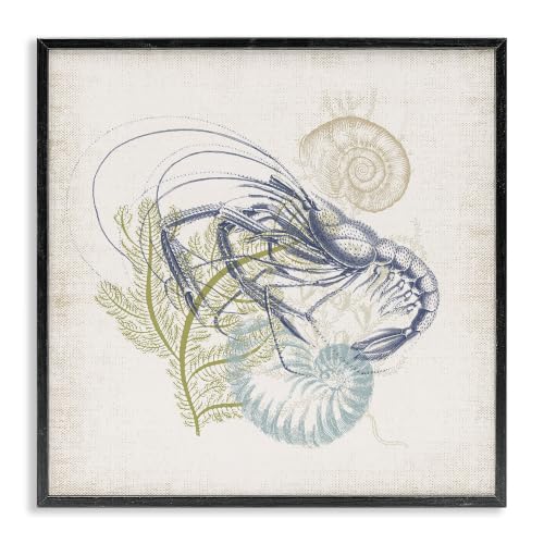 Nautical Crawdad Sea Life Botanicals, 17 x 17 Inch Framed Giclée Print