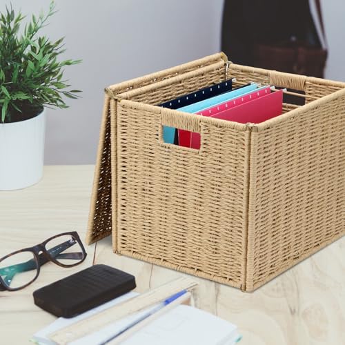 DIICCYO Large Seagrass File Storage Box Organizers, 14.4 x 11.8 x 11.4 Inch Paper Rope Storage Box, Seagrass Wicker File Box Organizer Hanging Filing Basket with Lid Decorative File Baskets by DIICCYO - Image 2