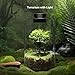 Desktop Glass Plant Terrarium with Grow Light (H:9.8