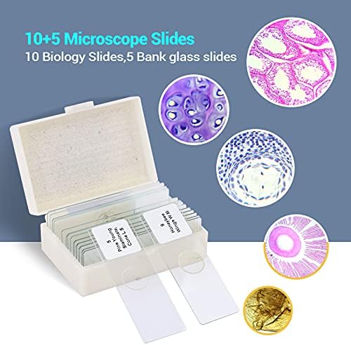 USCAMEL 40X-1000X Magnification LED Binocular Compound Microscope,Professional Compound Microscope with Wide-Field 10X 25X Eyepieces,Microscope Slides,Phone Adapters,Cleaning Paper