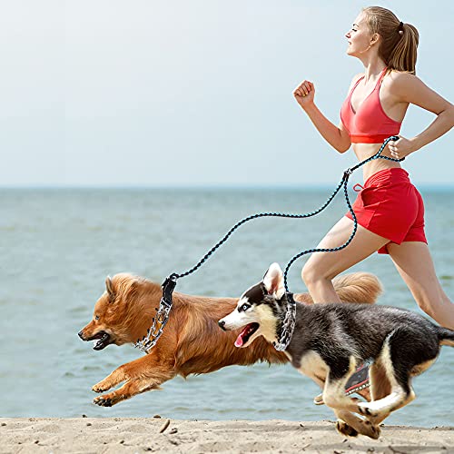 Wellbro Pit Bull German Shepherd Training Metal Pinch Pets Collar, With Quick Release Snap Buckle And Rubber Tips, Easy-On Plated Adjustable Training Dog Collar, 24" (Type 1) #TOP5