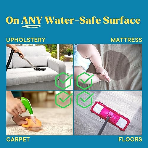 Good Life Solutions Natural Odor And Stain Remover Spray - Unscented Plant-Based Child And Pet Safe Cleaner Earth-Friendly Odor Eliminator Eco Cleaning Products For Home, Carpet, Upholstery 24Oz #TOP5
