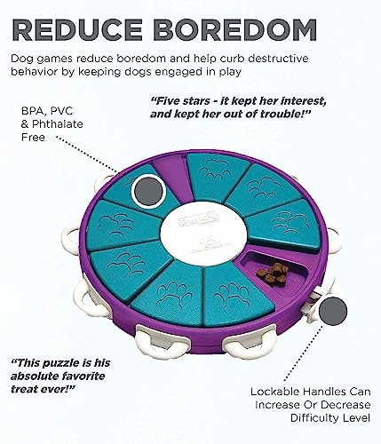 Outward Hound Nina Ottosson Dog Twister Interactive Treat Puzzle Dog Toy, Advanced #TOP3