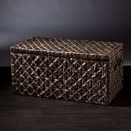 Southern Enterprises Storage Trunk, Blackwashed #TOP4