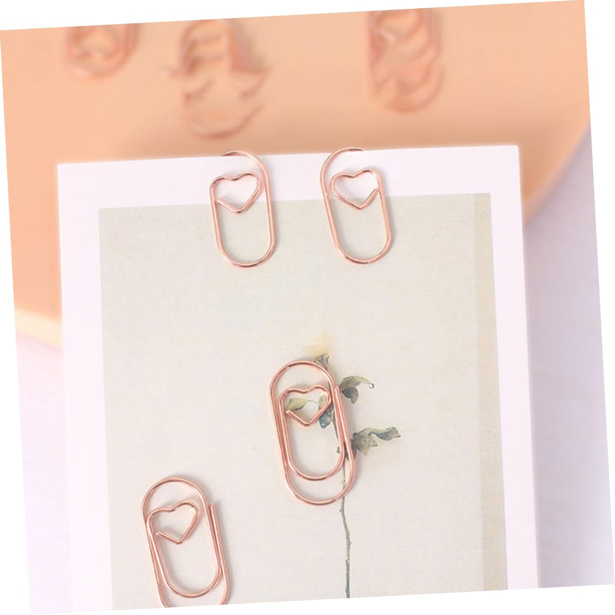 Housoutil 5 Set Graffette Metallo Clip Decorative Per Ufficio Scuola E Speciali Design E Compatto Per Documenti E Biglietti Auguri 200 Pezzi * 5