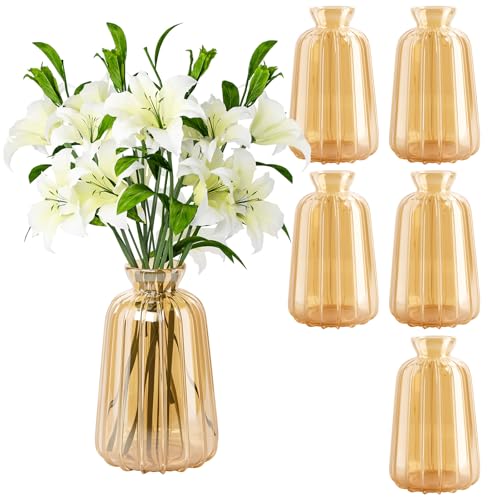 Ezvsevuo 6 Pieza Jarrones para Decoración de Mesa de Boda, Jarrones de Cristal, Floreros Decorativos Modernos Mini Jarrones de Mesa Decorativos Modernos Floreros Pequeños Decorativos