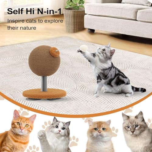 Jouet interactif pour chat - Jeu d'exercice de salon et appartement multi-animaux - 4