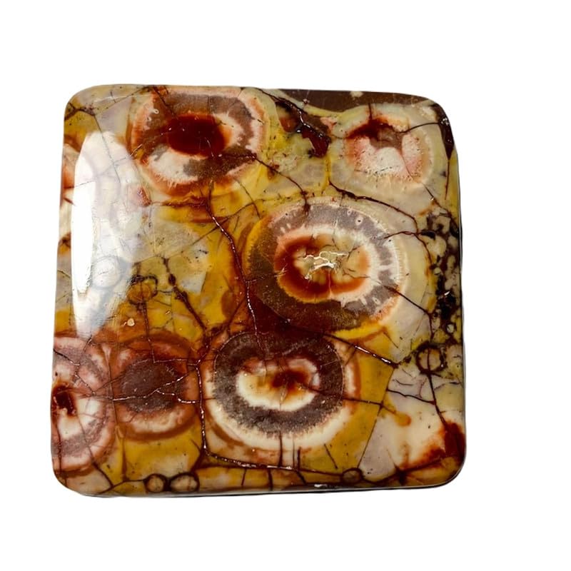 Jaspe œil d'oiseau naturel cabochon coussin 44mm pierre pour collier
