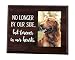 Elegant Signs Pet Frame Memorial No Longer by Our Side but Forever in Our Hearts