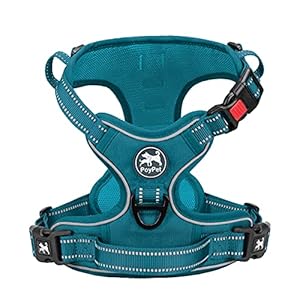 PoyPet No Pull Dog Harness, Reflective Dog Harness for Dogs without Choking, Adjustable, Soft Padded Pet Vest with Easy Control Handle for Small to Large Dogs (Tumalo Teal, S)