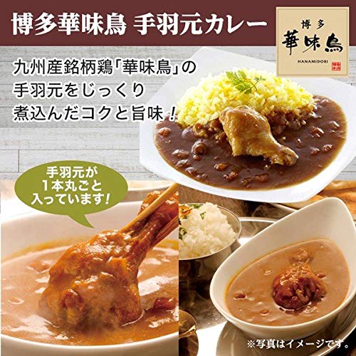九州からの贈り物 ご当地レトルトカレー5食セット