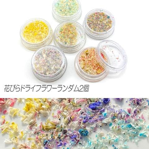 Amazon | 子供用レジンセット シャカシャカ レジンキット レジン