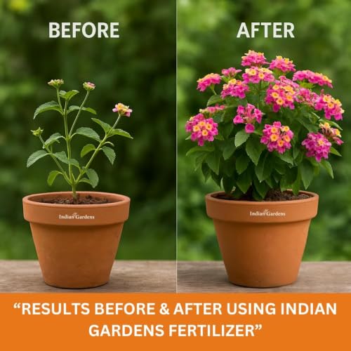 Image of Indian Gardens - Flower Booster | Flowering Plant Food for Heavy Blooming | Promotes Bigger, Brighter Flowers & Healthy Growth | Suitable for All Flowering Plants (10 Kg)