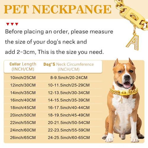 Goldenes Hundehalsband mit Anhänger,Edelstahl-Walking-Metallhalsband,19mm breit, schweres kubanisches Glied,Starke,kausichere Halsbänder für mittelgroße und große Hunde(35cm)