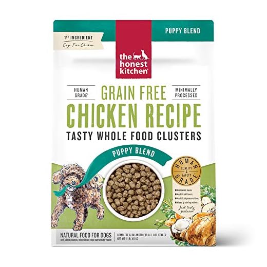 The Honest Kitchen Whole Food Clusters Puppy Grain Free Chicken Dry Dog Food, 1 lb Bag