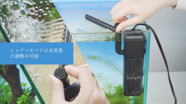 Amazon | AQQA水槽フィルター 交換用スポンジ4個セット (交換用