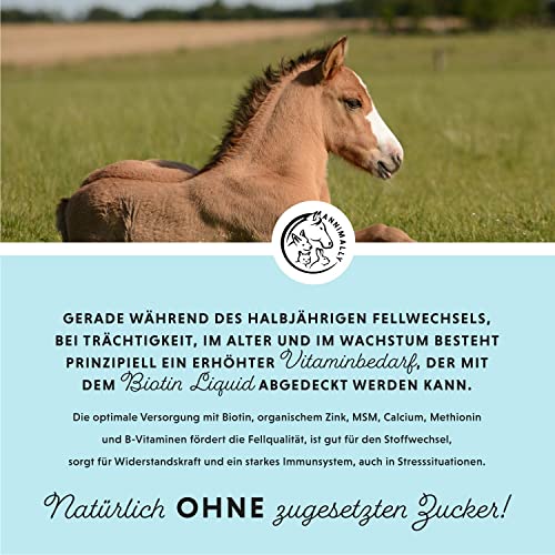 Foto von Annimally Pferd Biotin Zink Liquid 1000ml - Pflege für Haut, Haare & Hufe für Pferde - Biotin, Zink und MSM flüssig für EIN gesundes Fell - Fellpflege & Hufpflege für Pferde