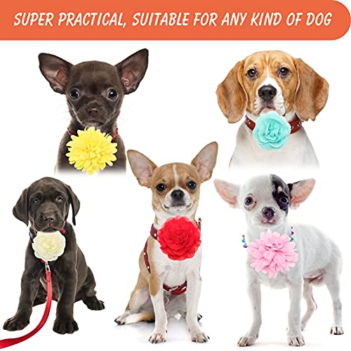 Anglekai 20Pcs Dog Collar Flowers, Pet Bow Ties Multi-Color Dog Collar Flowers and Bows Grooming Accessories (Solid)