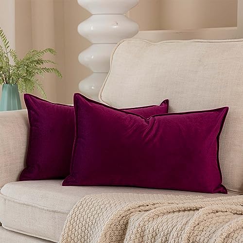 JUSPURBET Velvet Lumbar Throw Pillow Covers 14x24 Set of 2,Purple