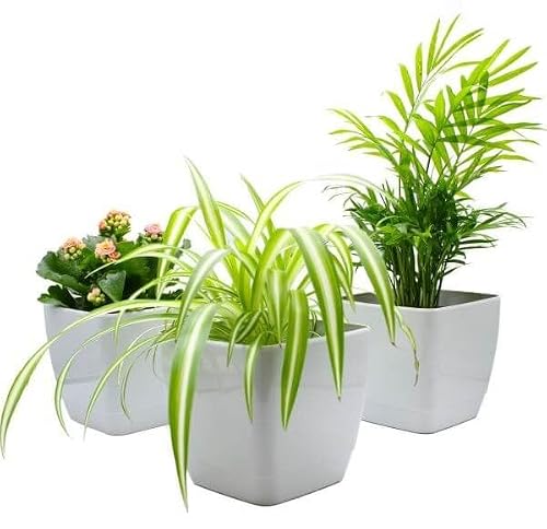 Gardening Naturally Grey Indoor Coloured Plant Pots - Square - Cool / 16 Cm / 6