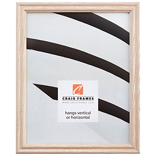 Craig Frames 200ASHWW 20 by 27-Inch Picture Frame, Wood Grain Finish, 0.75-Inch Wide