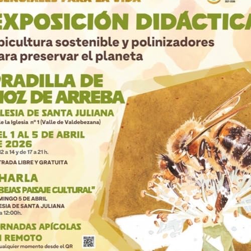 Spin off 3: 1000 y 1 abejas con Juanjo Asensio