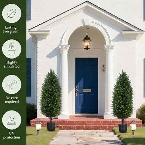 La Mejor Selección de Arbustos artificiales y topiarios los 5 más buscados. 2 Imagen adicional