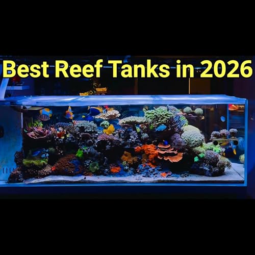 10 Best Reef Tanks on the Internet in 2026 | The Prestige Reef Dork Show Ep 128