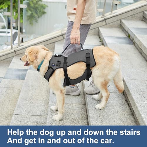 Coodeo Dog Lift Harness, Support & Recovery Sling, Pet Rehabilitation Lifts Vest Adjustable Breathable Straps for Old, Disabled, Joint Injuries, Arthritis, Paralysis Dogs Walk (Grey,XLarge) - Image 4