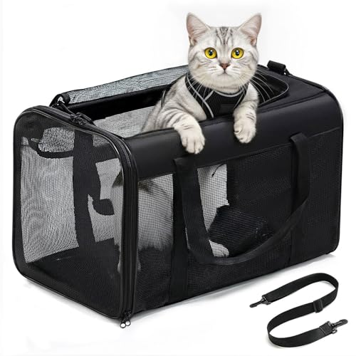 Conlun Katzentransportbox,Weiche Katzentransporttasche mit 4-seitigem Netz, Flugzeugtaugliche Katzentasche für Kleine&Mittelgroße Katze Kätzchen Welpen bis 6 Kg, Hundetransportbox Faltbar-M, Schwarz Conlun Katzentransportbox,Weiche Katzentransporttasche mit 4-seitigem Netz, Flugzeugtaugliche Katzentasche für Kleine&Mittelgroße Katze Kätzchen Welpen bis 6 Kg, Hundetransportbox Faltbar-M, Schwarz