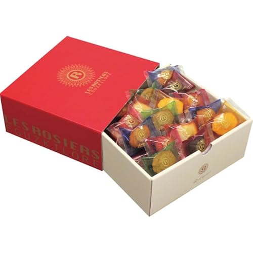 2025NΕʊ   WF GMXL[ v`Kg[