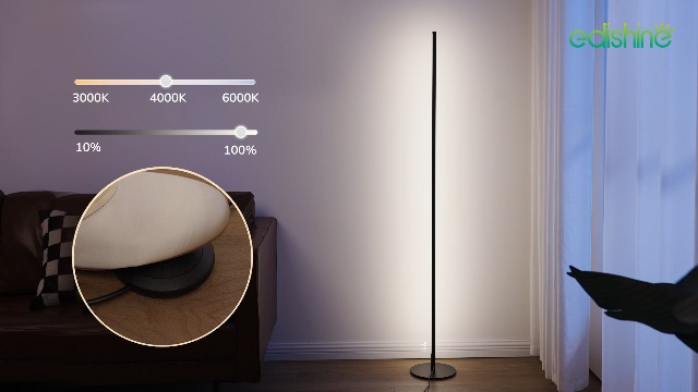 EDISHINE Corner Floor Lamp, Dimmable LED Light with Remote, 3