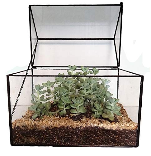 Humeng Maison Forme Terrarium Géométrique et Soleil Maison Qualité Verre Pots de Fleurs À Effet de Serre Artistique Vases pour Catus Mousse Plantes Grasses Plantes Boîtes À Bijoux Titulaire Artisanat