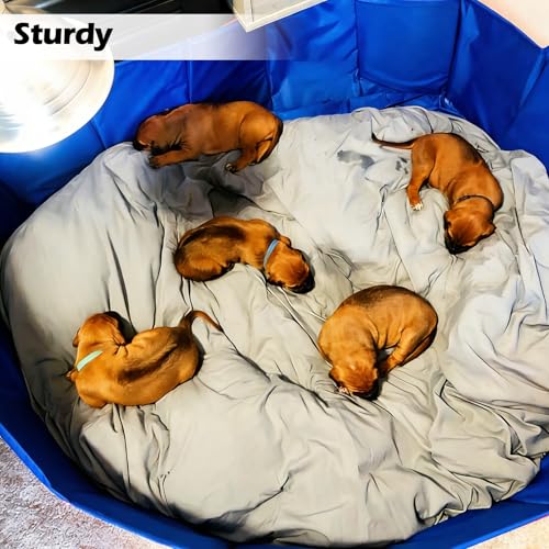 Image of Artilife Dog Whelping Box,Dog Whelping Box Pool,Whelping Box for Dogs Birthing,Welping Box Whelping Pen Whelping Box for Puppies Whelping Supplies (Blue, 39 inch Dia.x12 H)