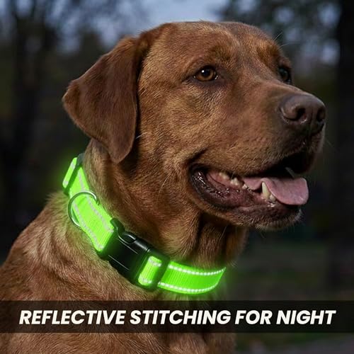 Collar Reflectante para Perro, Ajustable, Nylon, Hebilla Rápida, Verde XL miniatura 3