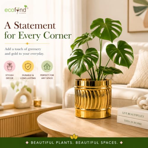 Image of ecofynd 1 Pack Metal Plant Pots (6 inch), Indoor Small Planter Flower Pots, Home Garden Decor Planter for Living Room Bedroom Interior (Gold Finish, POT050)