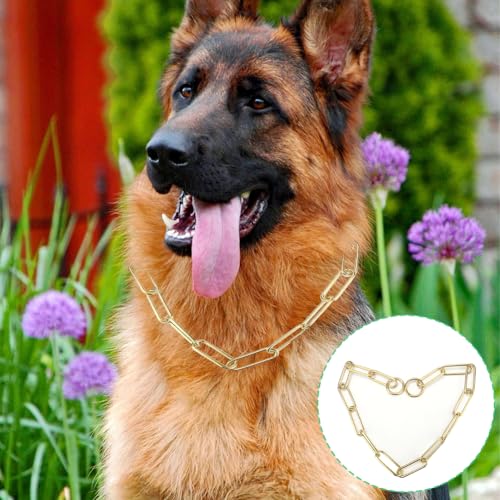 Joyzan Hundehalsband für Hunde, Hundehalsbänder, Kauversuch, Gold, Halbstrobe aus Metall, strapazierfähig, klein, mittelgroß, Training, Füße, Sicherheitskontrolle