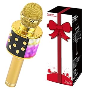 Fede Karaoke Mikrofon mit Bluetooth Lautsprecher