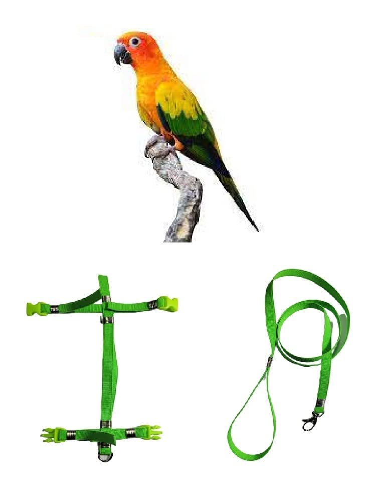 Arnés para conuro del sol ideal para paseos al aire libre con loros