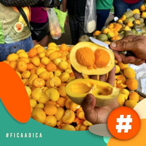 Fica a Dica - Quer um festival diferente para o m&ecirc;s de janeiro? Confira o Festival de Pequi, nos dias 17 e 18/01 copertina