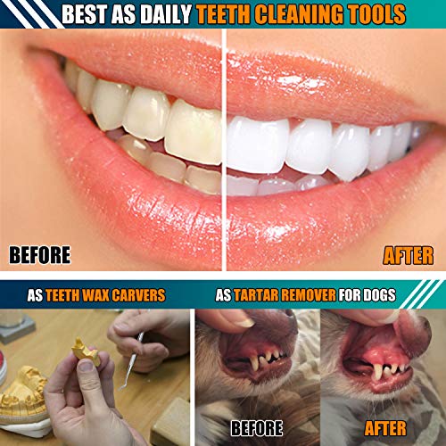 Dental Tools, 6 Pack Teeth Cleaning Tools Stainless Steel Dental Scraper Tooth Pick Hygien   e Set with Mouth Mirror, Tweezer Kit for Dentist, Family Oral Care, Dogs - with Leather Case