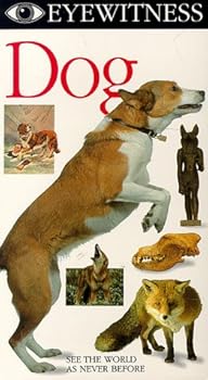 Eyewitness: Dog