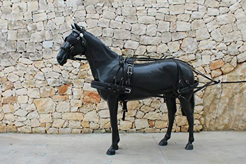  Generico FINIMENTO per Carrozza Nylon E BIOTHANE