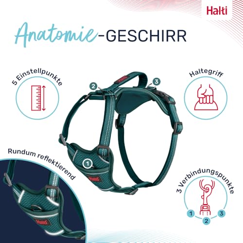 HALTI Anatomy Hundegeschirr mit Griff – Bewegungsfreiheit für deinen Hund. 3 Verbindungspunkte für die Leine, Neoprenpolsterung, verstellbar und reflektierend (Größe S, Blaugrün)