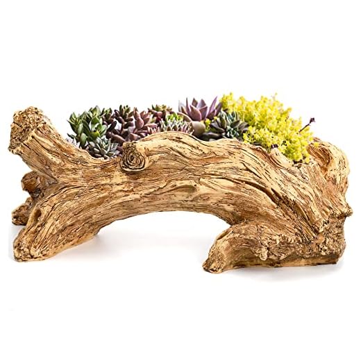 Hiceeden Artificial Driftwood Succulent Planter, Resin Tree Stump Sculpture Rustic Cactus Flower Pot for Herb, Strawberry, Small Plants, Natural Color Drainage Hole, 14.6" L x 4.3" W x 5.1" H