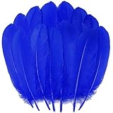 Ballinger Blue Craft Goose Feathers - 120Pcs 6-8inch Large Feathers for DIY Crafts,Angel Wings,Dream Catcher and Wedding Party Decor