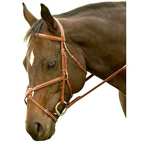Exselle Elite Jumper Bridle - Crafted from High-Grade Leather with a Luxuriously Durable Finish, Figure 8 Noseband, Classic Elegance, Size Cob