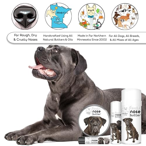 Image of The Blissful Dog Cane Corso Nose Butter for Dry, Cracked Skin, Lick-Safe Dog Nose Balm with Moisturizing Shea Butter, Almond, Olive, and Essential Oils, Pet Supplies, Uncented, 2 oz.